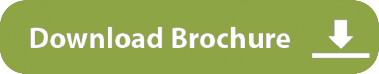 brochure.PNG